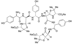 Amoxicillin Closed Trimer 